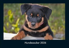 Cover Hundezauber 2026 Fotokalender DIN A4