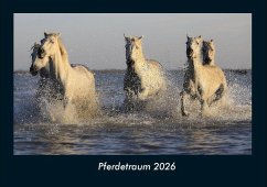 Cover Pferdetraum 2026 Fotokalender DIN A4