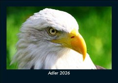 Cover Adler 2026 Fotokalender DIN A5