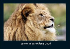 Cover Löwen in der Wildnis 2026 Fotokalender DIN A4