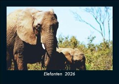 Cover Elefanten 2026 Fotokalender DIN A5