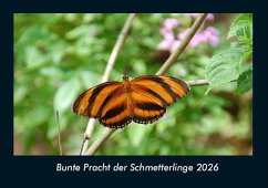 Cover Bunte Pracht der Schmetterlinge 2026 Fotokalender DIN A4