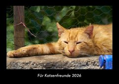 Cover Für Katzenfreunde 2026 Fotokalender DIN A3