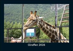 Cover Giraffen 2026 Fotokalender DIN A5