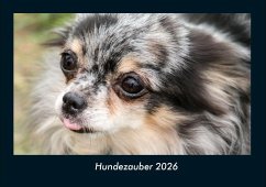 Cover Hundezauber 2026 Fotokalender DIN A4