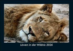 Cover Löwen in der Wildnis 2026 Fotokalender DIN A5