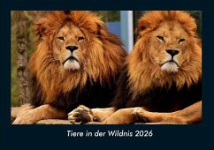Cover Tiere in der Wildnis 2026 Fotokalender DIN A4