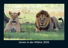 Cover Löwen in der Wildnis 2026 Fotokalender DIN A5