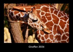 Cover Giraffen 2026 Fotokalender DIN A3