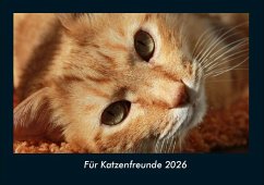 Cover Für Katzenfreunde 2026 Fotokalender DIN A4