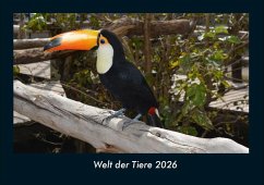 Cover Welt der Tiere 2026 Fotokalender DIN A4