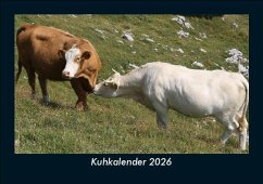 Cover Kuhkalender 2026 Fotokalender DIN A5