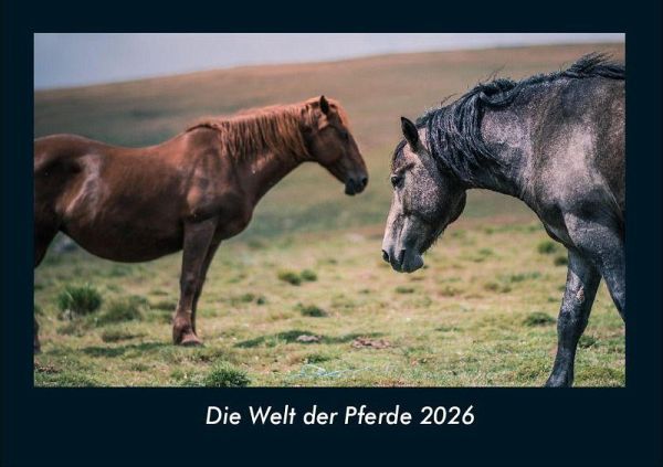 Die Welt der Pferde 2026 Fotokalender DIN A4
