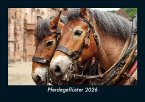 Pferdegeflüster 2026 Fotokalender DIN A5