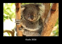 Cover Koala 2026 Fotokalender DIN A3