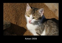 Katzen 2026 Fotokalender DIN A3 - Tobias Becker