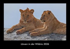 Cover Löwen in der Wildnis 2026 Fotokalender DIN A3