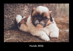 Cover Hunde 2026 Fotokalender DIN A3
