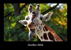 Cover Giraffen 2026 Fotokalender DIN A3
