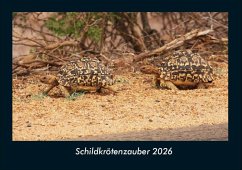 Cover Schildkrötenzauber 2026 Fotokalender DIN A4