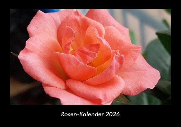 Rosen-Kalender 2026 Fotokalender DIN A3