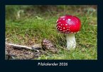Pilzkalender 2026 Fotokalender DIN A4