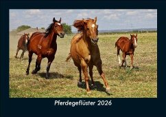 Cover Pferdegeflüster 2026 Fotokalender DIN A5
