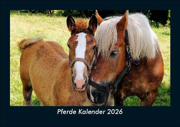 Pferde Kalender 2026 Fotokalender DIN A5