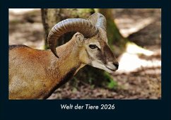 Cover Welt der Tiere 2026 Fotokalender DIN A4