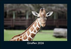 Cover Giraffen 2026 Fotokalender DIN A5