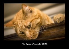 Cover Für Katzenfreunde 2026 Fotokalender DIN A3