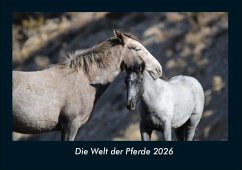 Cover Die Welt der Pferde 2026 Fotokalender DIN A4