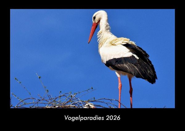 Vogelparadies 2026 Fotokalender DIN A3