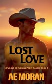 Lost Love Lost Love