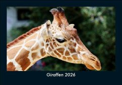 Cover Giraffen 2026 Fotokalender DIN A5