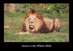 Cover Löwen in der Wildnis 2026 Fotokalender DIN A3