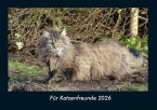 Für Katzenfreunde 2026 Fotokalender DIN A4