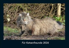 Für Katzenfreunde 2026 Fotokalender DIN A4 Cover Für Katzenfreunde 2026 Fotokalender DIN A4