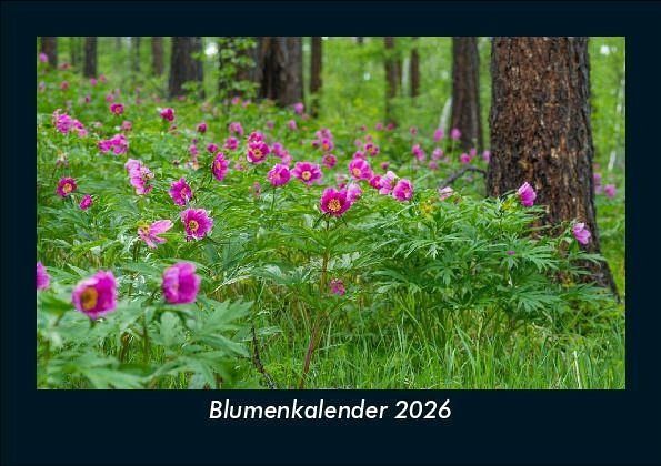 Blumenkalender 2026 Fotokalender DIN A5