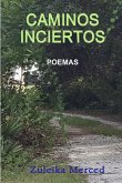 CAMINOS INCIERTOS