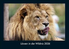 Cover Löwen in der Wildnis 2026 Fotokalender DIN A4