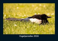 Cover Vogelparadies 2026 Fotokalender DIN A5