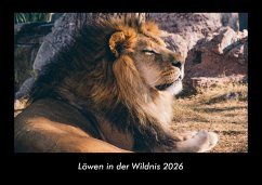 Cover Löwen in der Wildnis 2026 Fotokalender DIN A3