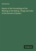 Report of the Proceedings of the Meeting of the Bishop, Clergy and Laity of the Diocese of Quebec