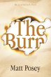 The Burn (eBook, ePUB) - Bild 1