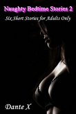 Naughty Bedtime Stories 2 (eBook, ePUB)
