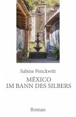 México im Bann des Silbers (eBook, ePUB)