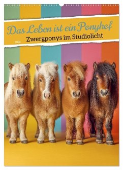 Das Leben ist ein Ponyhof - Zwergponys im Studiolicht (Wandkalender 2026 DIN A2 hoch), CALVENDO Monatskalender