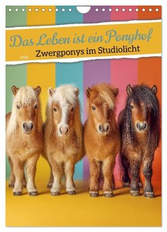 Cover Das Leben ist ein Ponyhof - Zwergponys im Studiolicht (Wandkalender 2026 DIN A4 hoch), CALVENDO Monatskalender