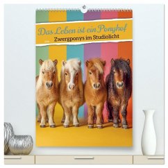 Cover Das Leben ist ein Ponyhof - Zwergponys im Studiolicht (hochwertiger Premium Wandkalender 2026 DIN A2 hoch), Kunstdruck in Hochglanz